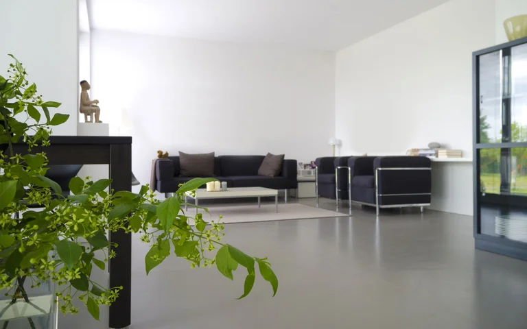 Modernes Wohnzimmer mit Betonboden und schwarzem Sofa. Rechts ist eine Zimmerpflanze sichtbar.